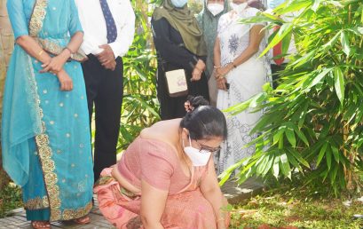 Planting of Indigenous Medicinal Plants program